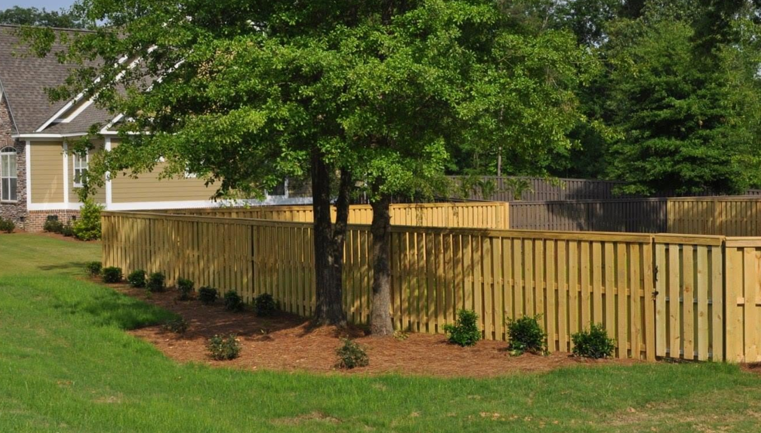 Fence Cleaning